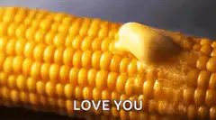 Corn cob with butter melting