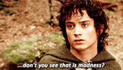 Boromir don't you see that is madness