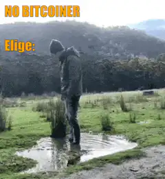 Elige no bitcoiner falls in puddle
