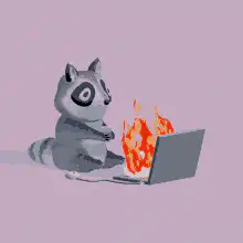 Raccoon watching laptop on fire