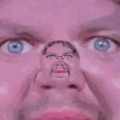 Zoomed in face with tiny face on nose