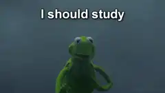 Kermit the Frog meets the Grim Reaper