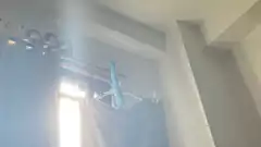 blue plush whale on curtain rod