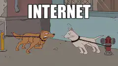 Two dogs chained to fire hydrants