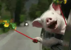 pig holding red stick