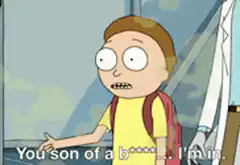 Morty You son of a bleep I'm in