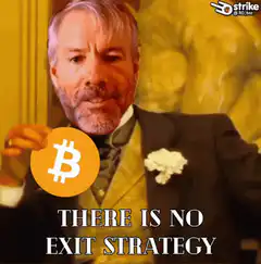 There is no exit strategy bitcoin