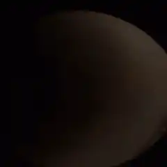 Man looking into toilet bowl