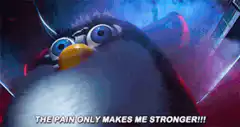 Angry Bird The Pain Only Makes Me Stronger