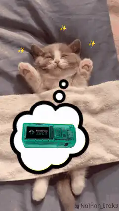 sleeping cat dreaming of jade