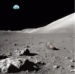Dog on the moon with Earth in sky