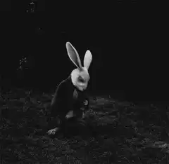 creepy rabbit in suit