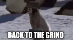 Penguin with hat back to the grind