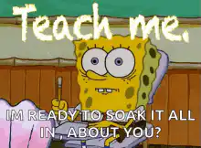 SpongeBob ready to soak it all in