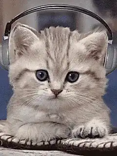 kitten wearing headphones
