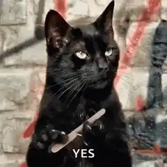 Black cat holding a nail file saying yes