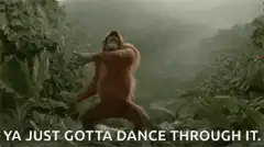 Orangutan dancing in jungle