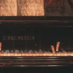 C. Bechstein piano keys moving