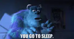 Sulley You Go To Sleep