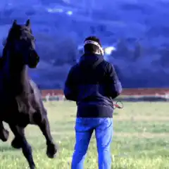 Man gets kicked by a horse