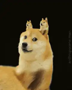 Doge with two smaller dogs on head