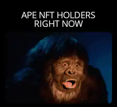 Ape NFT Holders Right Now