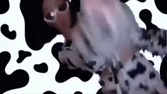Cow print outfit dance