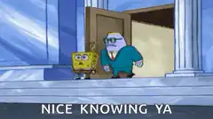SpongeBob Nice Knowing Ya