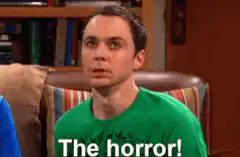 Sheldon Cooper The horror!