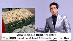 Michael Scott HODL for ants meme
