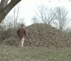 Man jumps into a giant pile of leaves