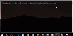 Gopher clone command prompt