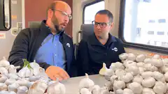 Two men eating garlic on a train