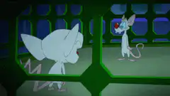Brain and Pinky taking over the world