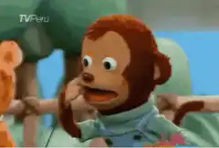 Monkey puppet shocked face