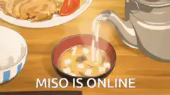 Miso is Online