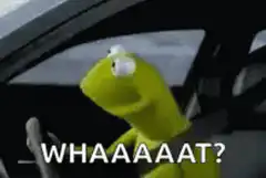 Kermit the Frog Whaaaaat