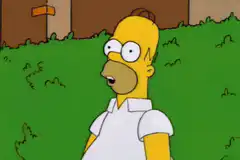 Homer Simpson texting on TV