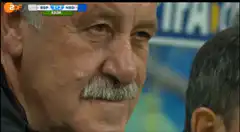 Vicente del Bosque makes a funny face