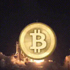 Bitcoin coin rocket launch