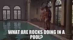 What are rocks doing in a pool?
