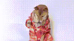 Shiba Inu puts on sunglasses
