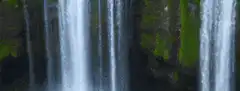 waterfall in forest