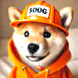 Shiba Inu in orange hoodie and cap