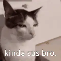 Cat looking kinda sus bro