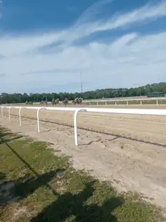 Horses racing on a dirt track