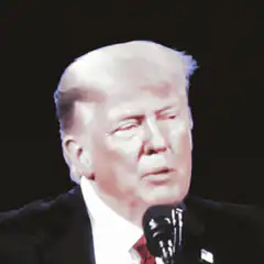 Donald Trump So Sad