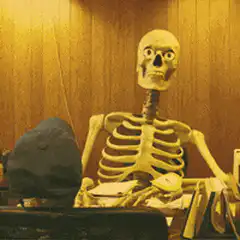 Skeletons in office with googly eyes