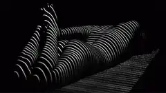 striped body projection