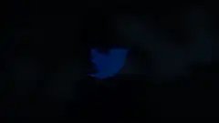 Twitter logo transforms into X